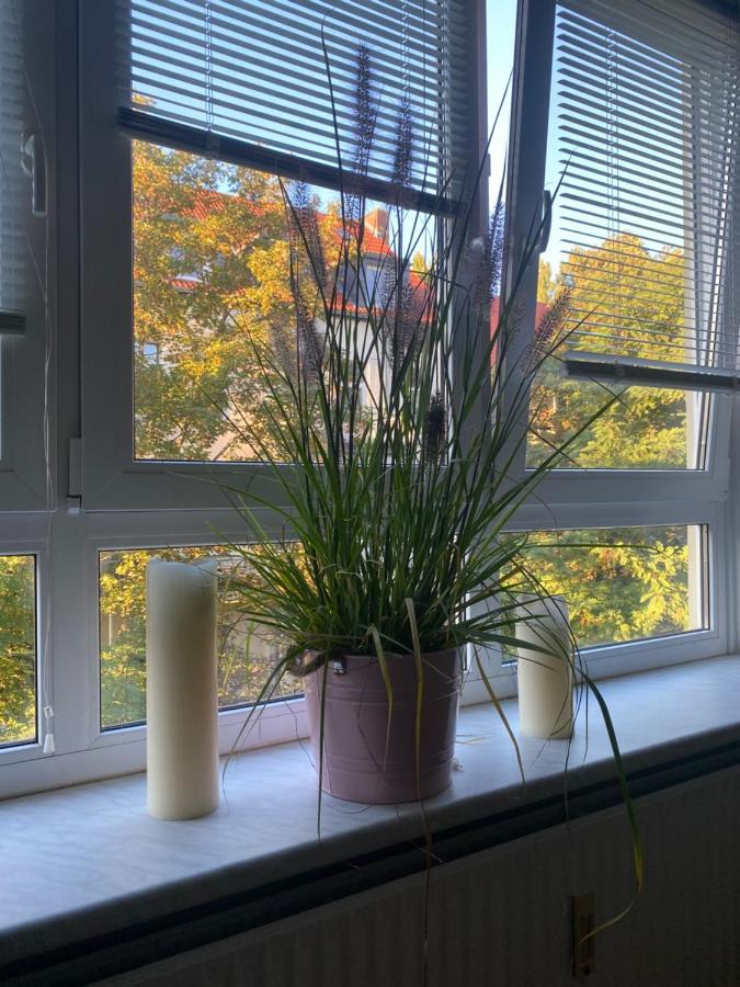 Central City Privatapartment Relax-Inn, Netflix & Sky Tv! Hannover Eksteriør bilde